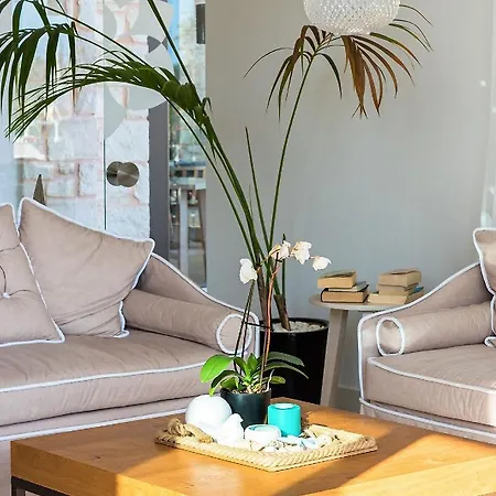 Airis Boutique And (adults Only)